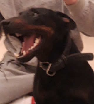 Chief Morale Officer
